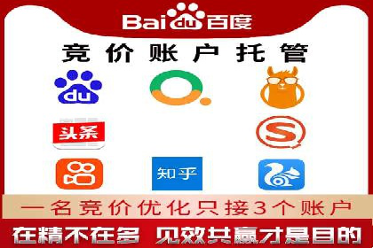 SEM推广实战：案例解析与策略探讨